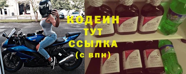 гашик Дмитровск