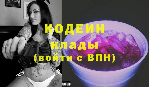 гашик Дмитровск