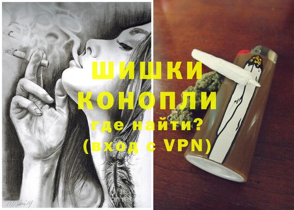 гашик Дмитровск